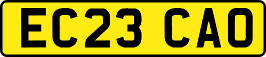 EC23CAO