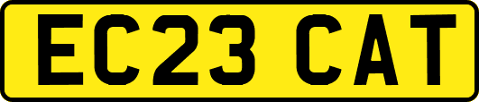 EC23CAT