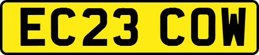 EC23COW