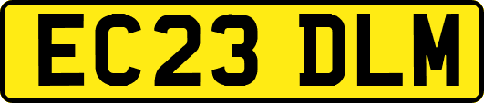 EC23DLM