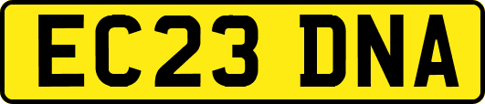 EC23DNA