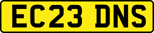 EC23DNS