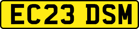 EC23DSM