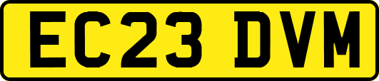 EC23DVM