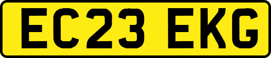 EC23EKG