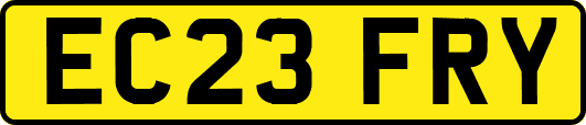 EC23FRY
