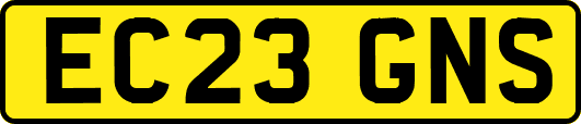 EC23GNS