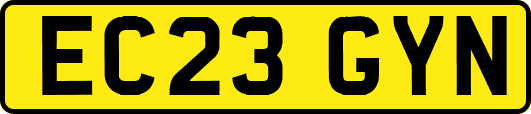 EC23GYN