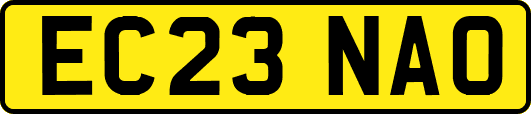 EC23NAO