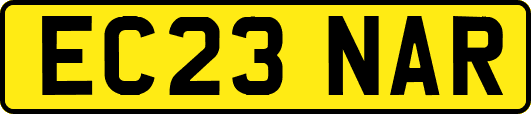 EC23NAR