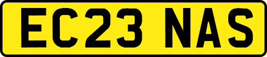EC23NAS