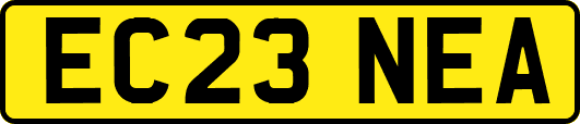 EC23NEA