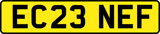 EC23NEF