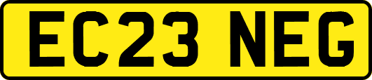 EC23NEG