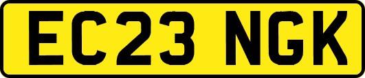 EC23NGK