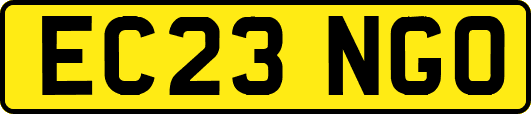 EC23NGO