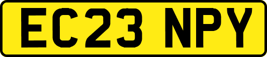 EC23NPY