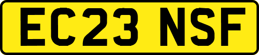 EC23NSF