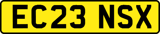 EC23NSX