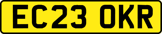 EC23OKR