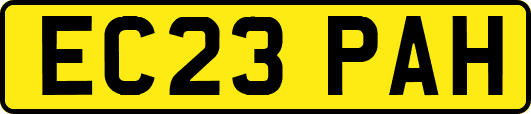 EC23PAH