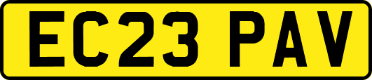 EC23PAV