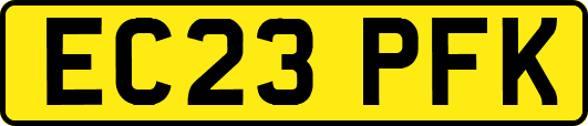 EC23PFK