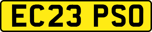 EC23PSO