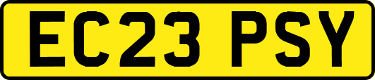 EC23PSY