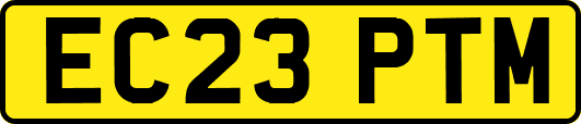 EC23PTM