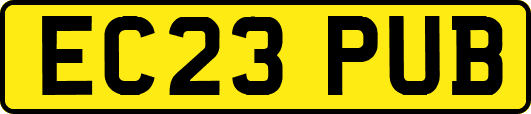EC23PUB