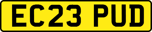 EC23PUD