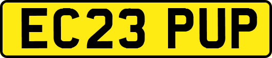 EC23PUP