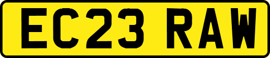 EC23RAW