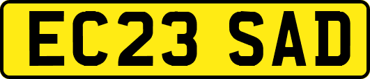 EC23SAD