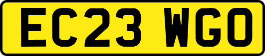 EC23WGO