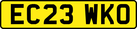EC23WKO