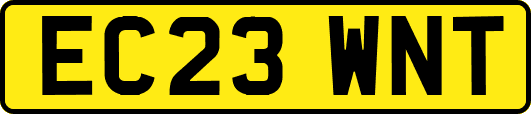 EC23WNT