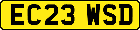EC23WSD