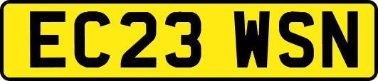 EC23WSN