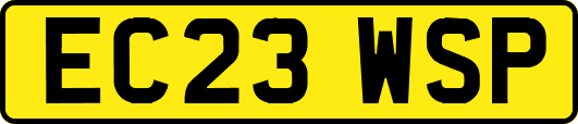 EC23WSP