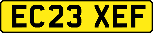 EC23XEF