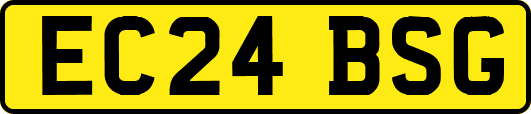 EC24BSG