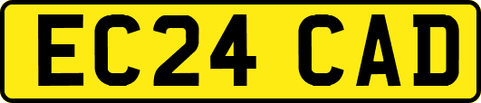 EC24CAD