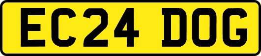 EC24DOG