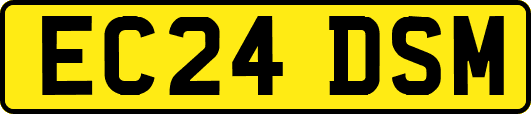 EC24DSM