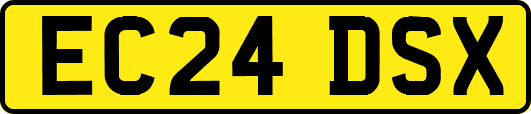 EC24DSX