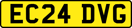 EC24DVG