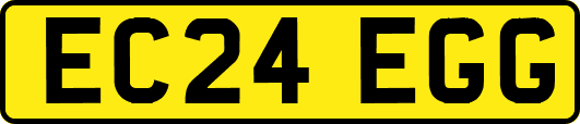 EC24EGG