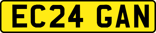 EC24GAN